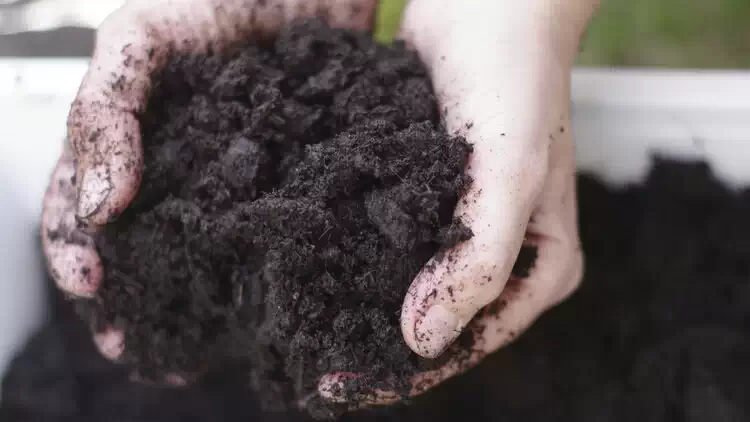 Understand the Soil Type