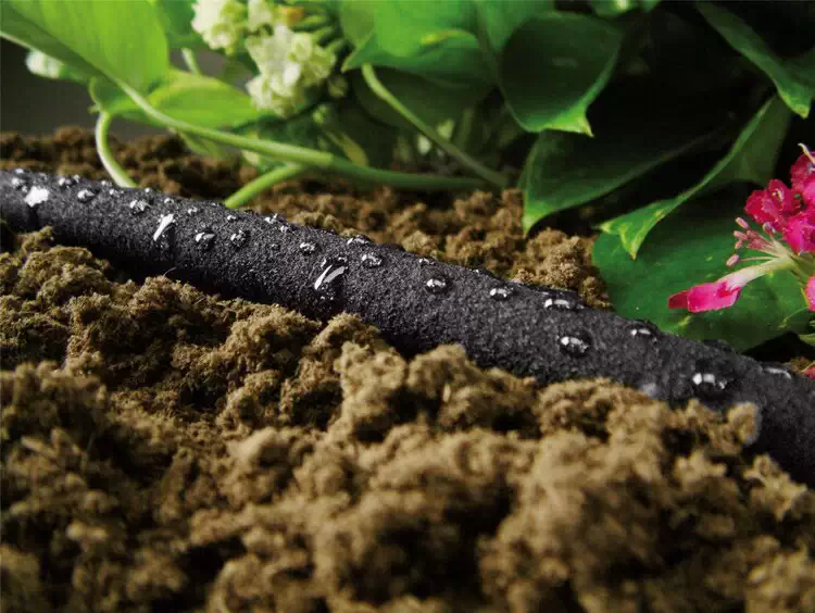 Water your Plants using Drip Irrigation