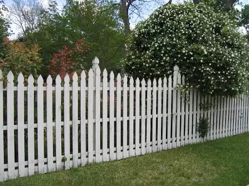 Wooden Picket Fences